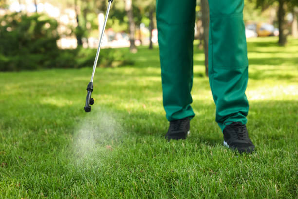Best Emergency Pest Control  in Belmont, CA