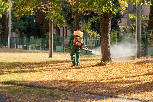 Best Best Pest Control Companies  in Belmont, CA
