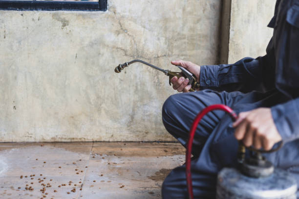 Best Exterminator Services  in Belmont, CA